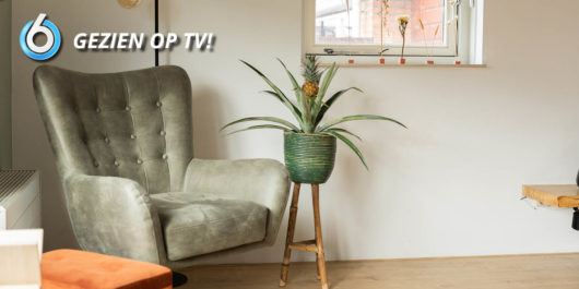 Aflevering 12 Flynn Fauteuil 2 530x265 1