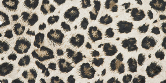 UrbanSofa-Shiny-Velvet-Leopard-Meubelstof-530x265